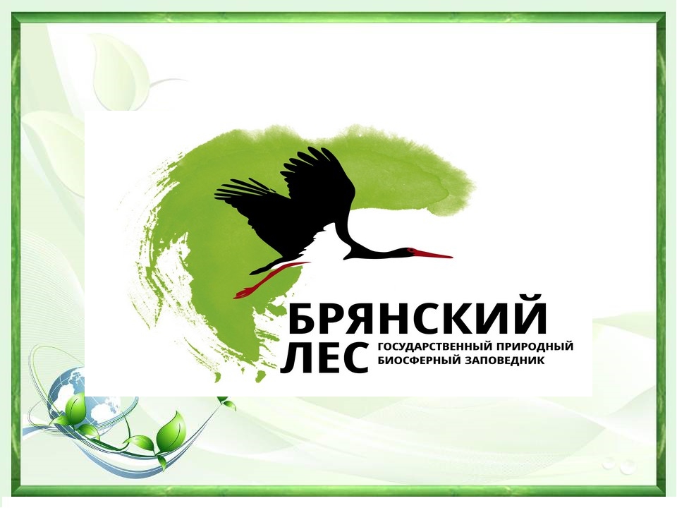 Экскурсия в заповедник.